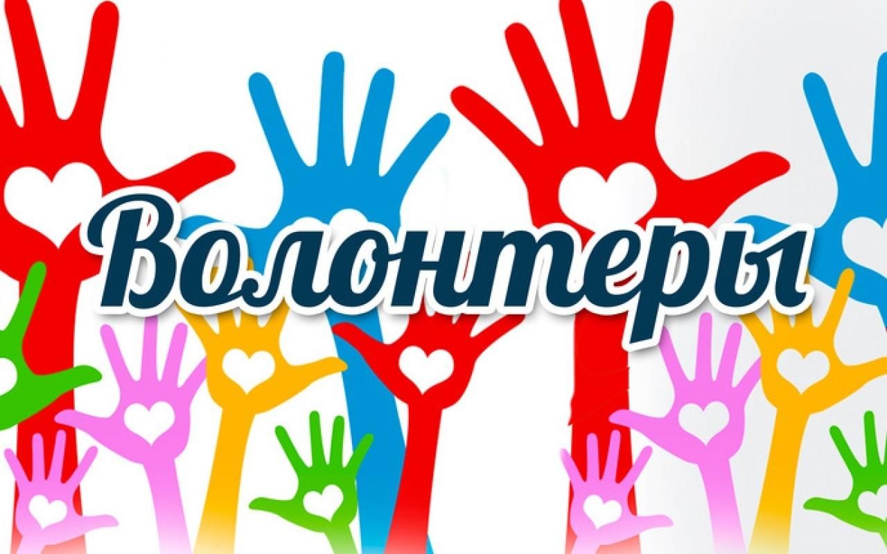 Поддержка участников добровольческой (волонтерской) деятельности.