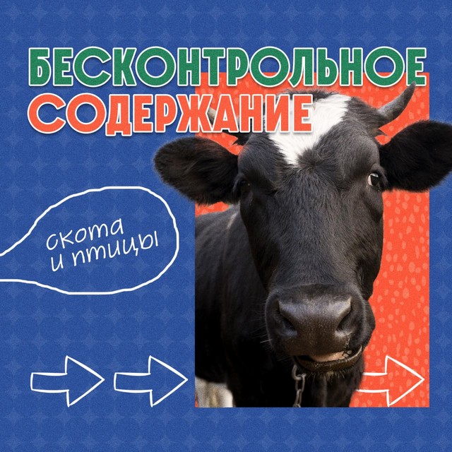 Ответственность за бесконтрольное содержание скота и птицы.